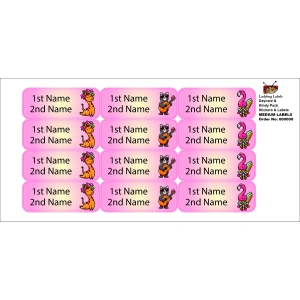 LBL202406PKCL30034 2