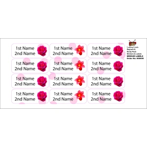 LBL202406PKCL30041 2