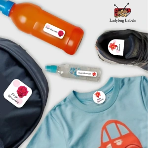 LBL202406PKCL30041 3