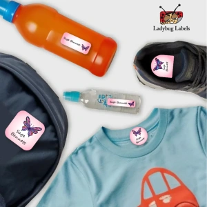 LBL202406PKCL30049 3