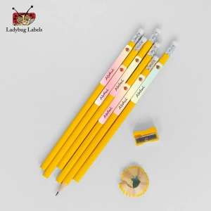 Kiwi Cupcake-Pack of 30 Pencil Waterproof Labels 4 LBL202406PKPL300022 3