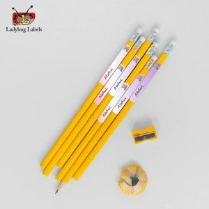 LBL202406PKPL300023 3