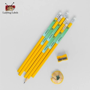 LBL202406PKPL300031 3