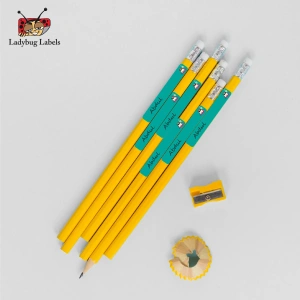 LBL202406PKPL300033 3