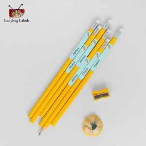 LBL202406PKPL30004 3