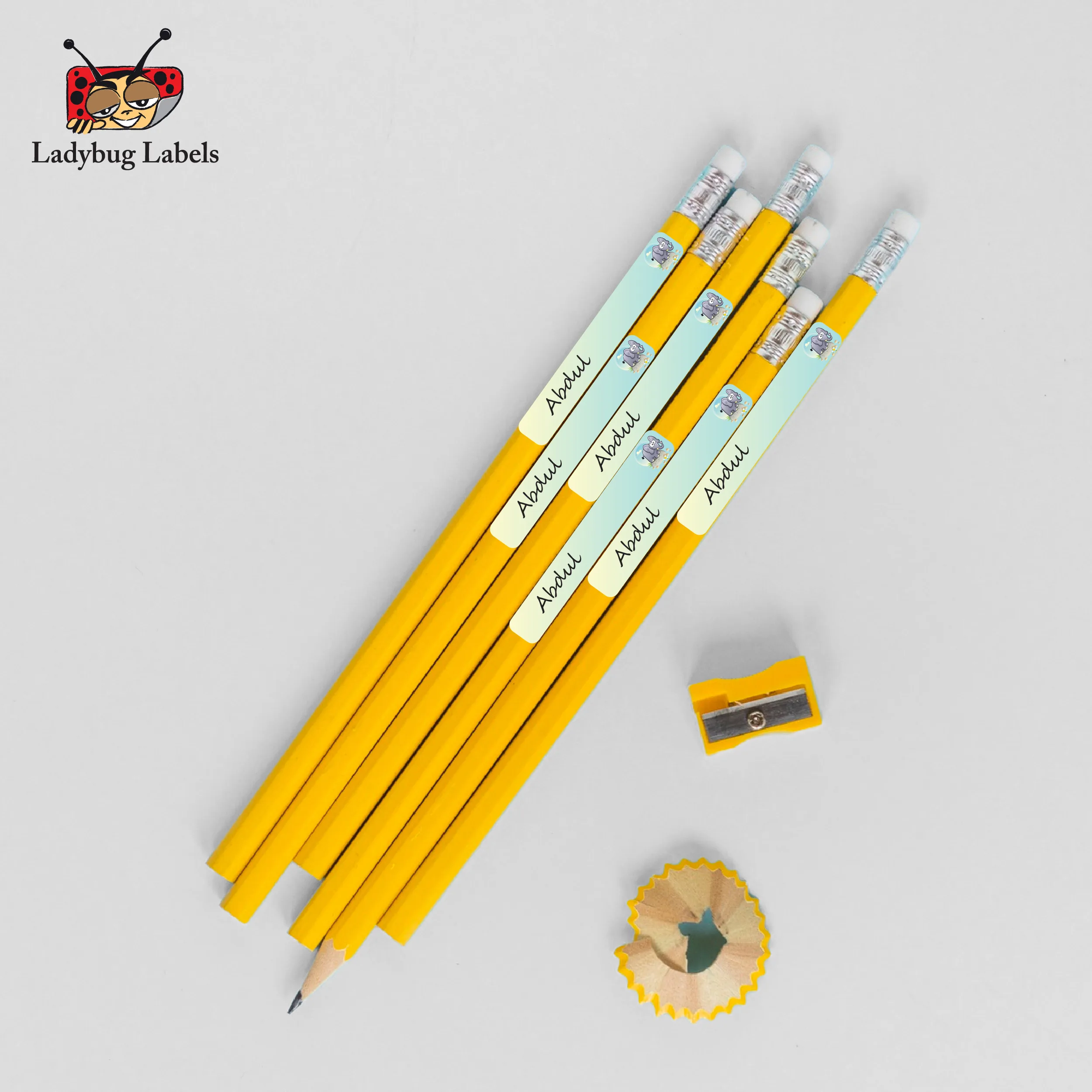 LBL202406PKPL30008 3 LBL202406PKPL30008 3
